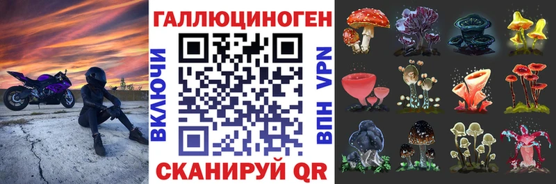 Галлюциногенные грибы Cubensis  Семикаракорск 